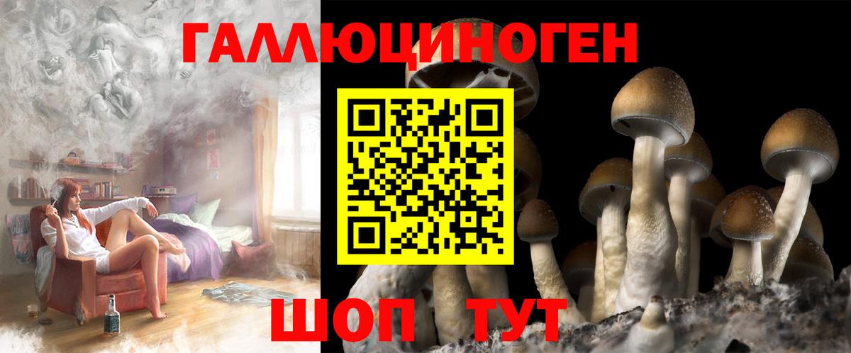 Псилоцибиновые грибы мицелий Лысьва
